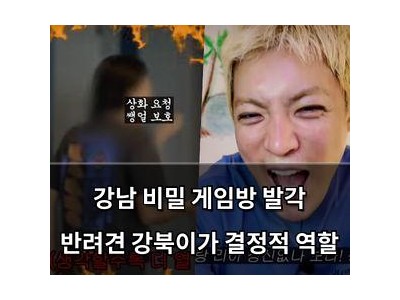 강남 비밀 게임방 발각 반려견 강북이가 결정적 역할